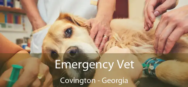 Emergency Vet Covington - Georgia