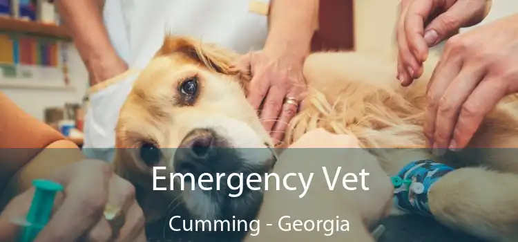 Emergency Vet Cumming - Georgia