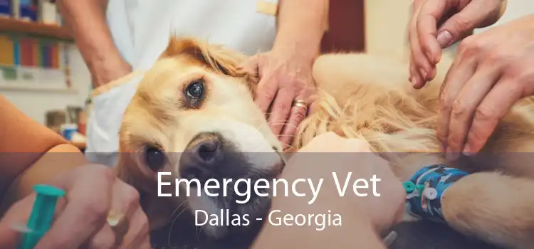 Emergency Vet Dallas - Georgia