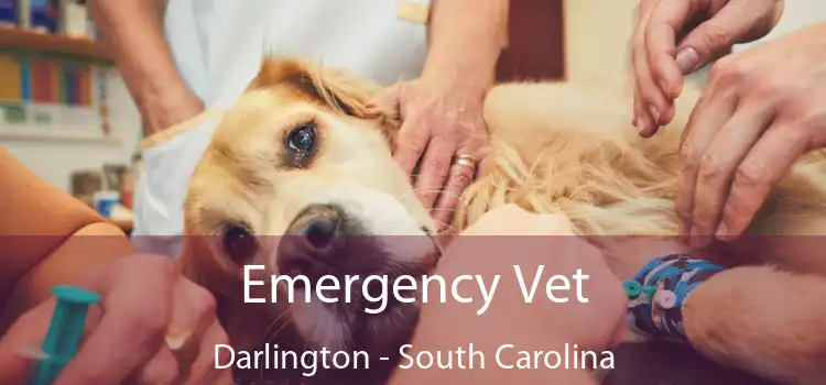 Emergency Vet Darlington - South Carolina