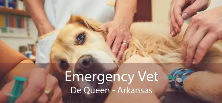 Emergency Vet De Queen - Arkansas