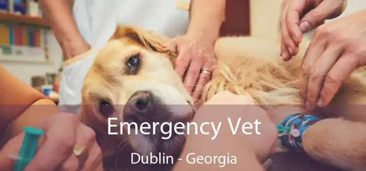 Emergency Vet Dublin - Georgia