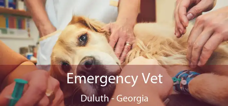 Emergency Vet Duluth - Georgia