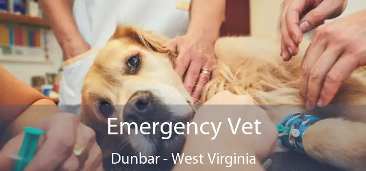 Emergency Vet Dunbar - West Virginia