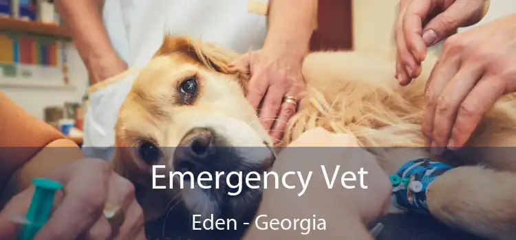 Emergency Vet Eden - Georgia