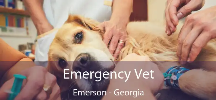 Emergency Vet Emerson - Georgia