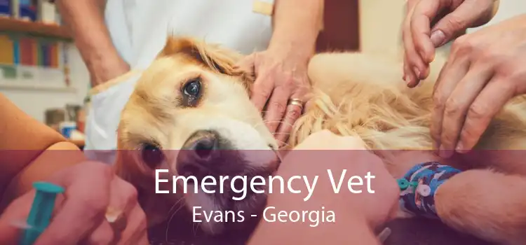 Emergency Vet Evans - Georgia
