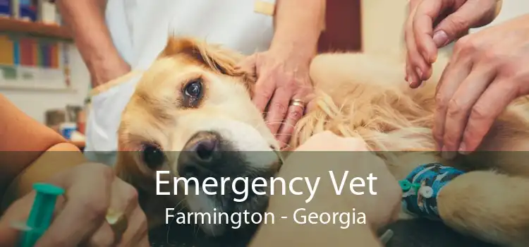 Emergency Vet Farmington - Georgia