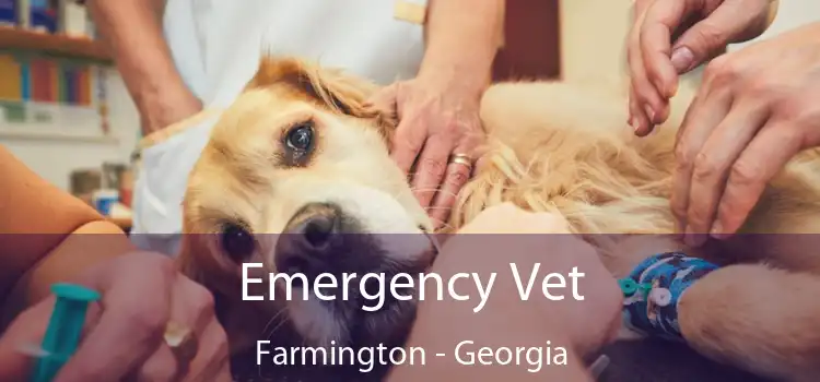 Emergency Vet Farmington - Georgia