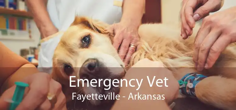 Emergency Vet Fayetteville - Arkansas