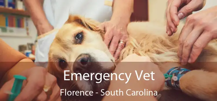 Emergency Vet Florence - South Carolina