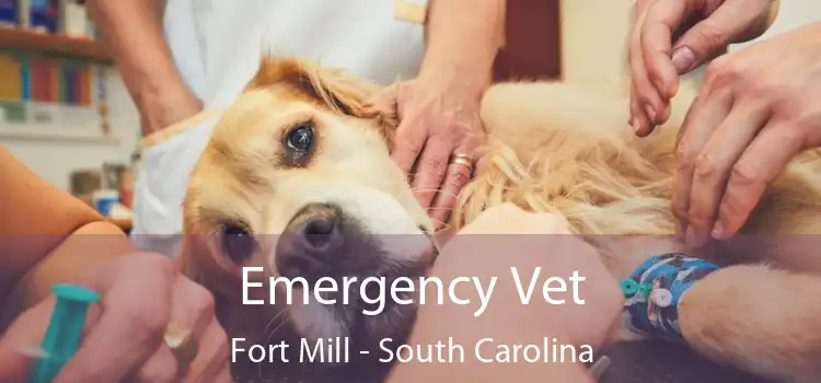 Emergency Vet Fort Mill - South Carolina