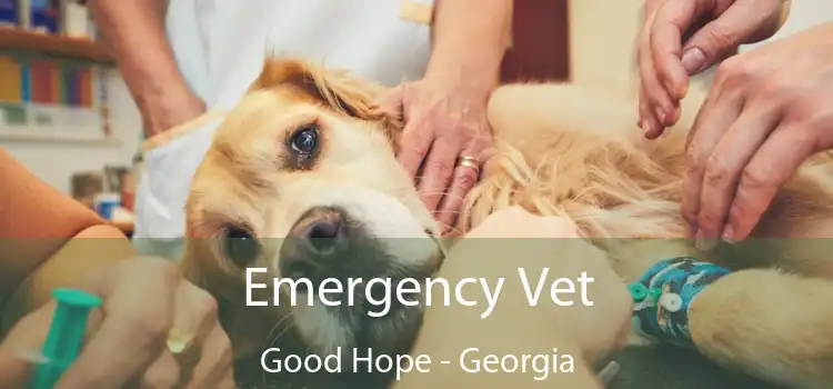 Emergency Vet Good Hope - Georgia