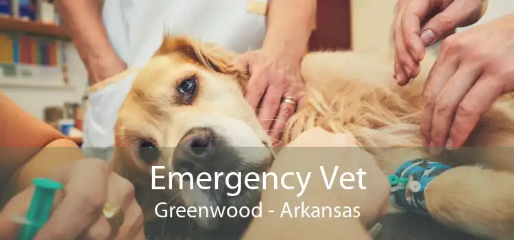 Emergency Vet Greenwood - Arkansas