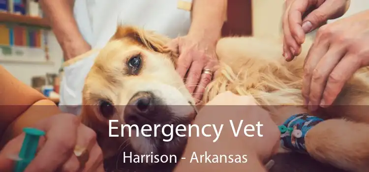 Emergency Vet Harrison - Arkansas