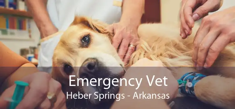 Emergency Vet Heber Springs - Arkansas