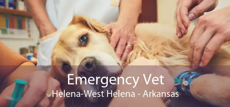 Emergency Vet Helena-West Helena - Arkansas