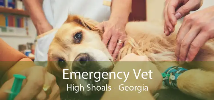 Emergency Vet High Shoals - Georgia
