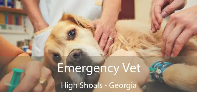 Emergency Vet High Shoals - Georgia