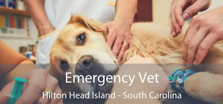 Emergency Vet Hilton Head Island - South Carolina
