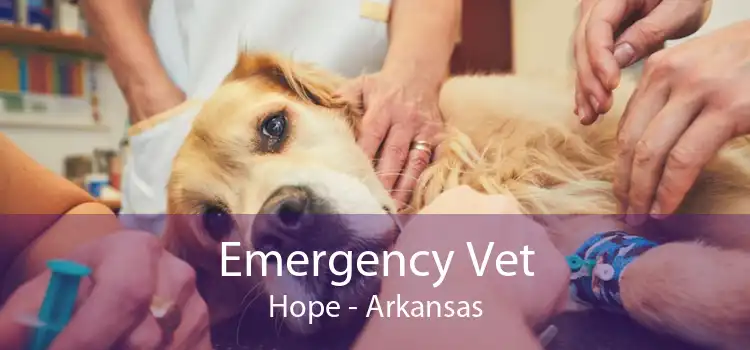 Emergency Vet Hope - Arkansas