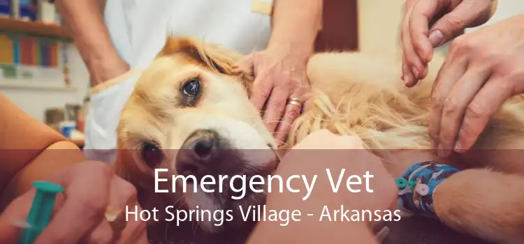 Emergency Vet Hot Springs Village - Arkansas