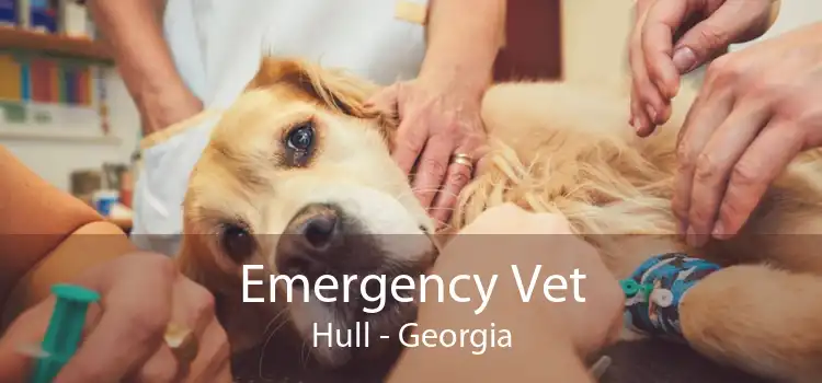 Emergency Vet Hull - Georgia
