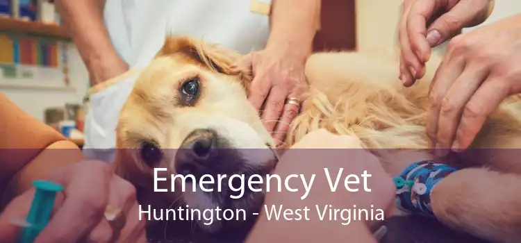 Emergency Vet Huntington - West Virginia
