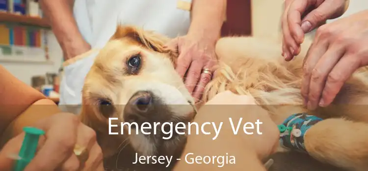 Emergency Vet Jersey - Georgia