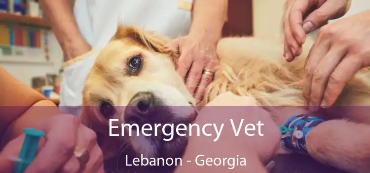 Emergency Vet Lebanon - Georgia