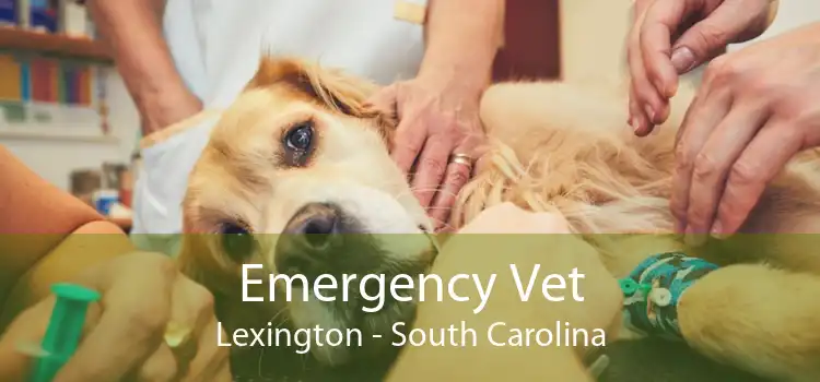 Emergency Vet Lexington - South Carolina