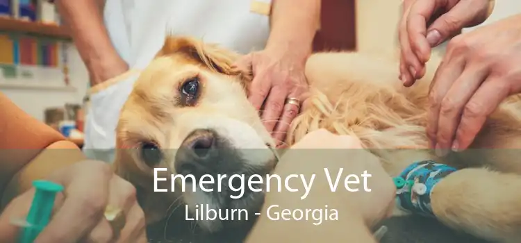 Emergency Vet Lilburn - Georgia