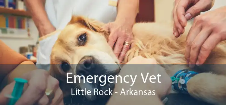 Emergency Vet Little Rock - Arkansas