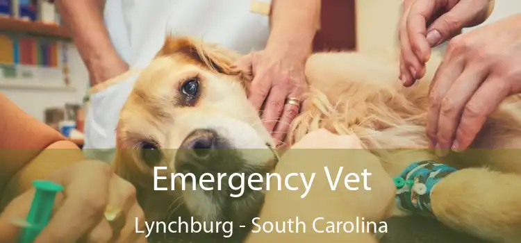 Emergency Vet Lynchburg - South Carolina