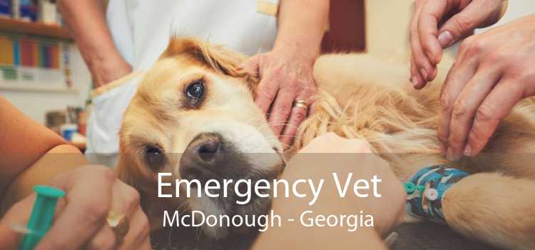 Emergency Vet McDonough - Georgia