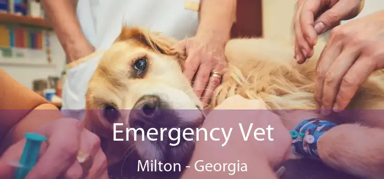 Emergency Vet Milton - Georgia