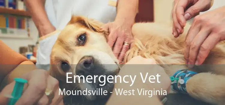 Emergency Vet Moundsville - West Virginia