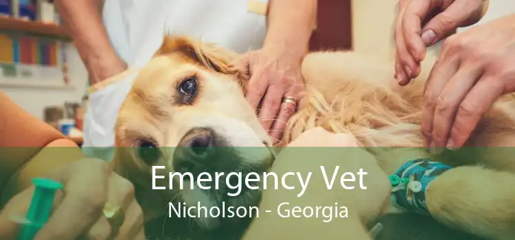 Emergency Vet Nicholson - Georgia