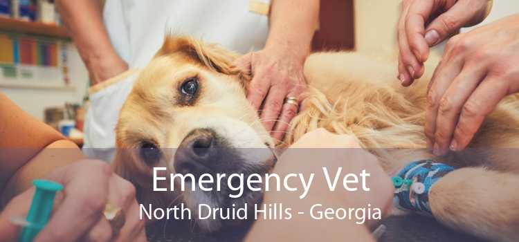 Emergency Vet North Druid Hills - Georgia