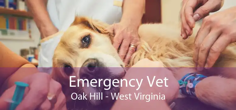 Emergency Vet Oak Hill - West Virginia