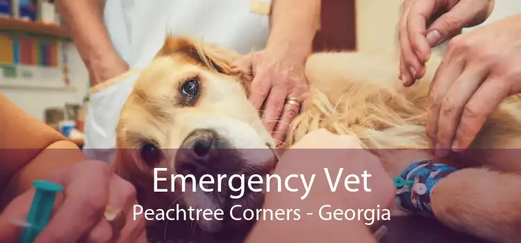 Emergency Vet Peachtree Corners - Georgia