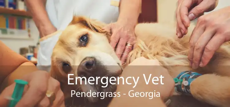 Emergency Vet Pendergrass - Georgia