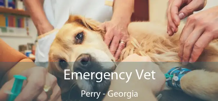 Emergency Vet Perry - Georgia