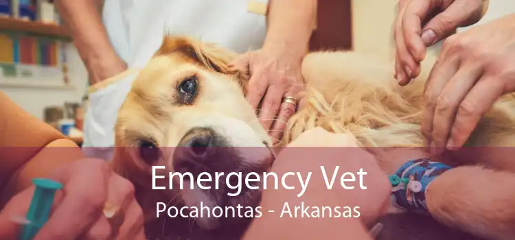 Emergency Vet Pocahontas - Arkansas