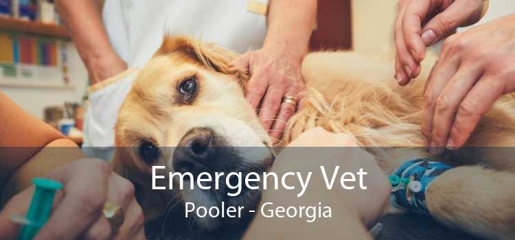 Emergency Vet Pooler - Georgia