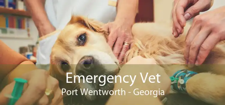 Emergency Vet Port Wentworth - Georgia