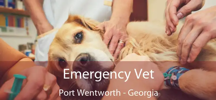 Emergency Vet Port Wentworth - Georgia