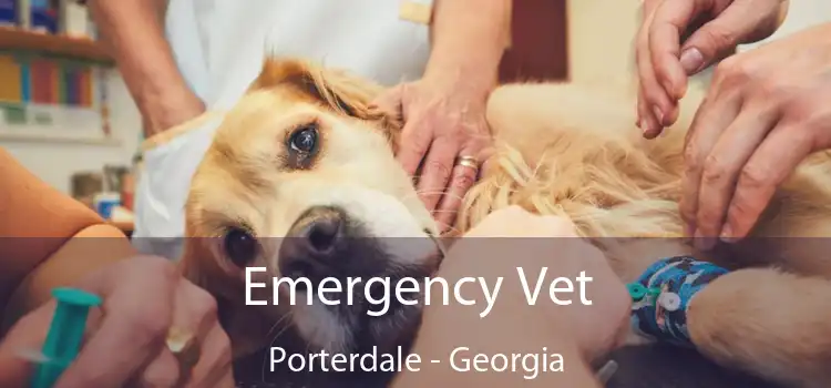 Emergency Vet Porterdale - Georgia