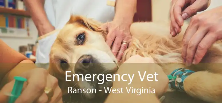 Emergency Vet Ranson - West Virginia