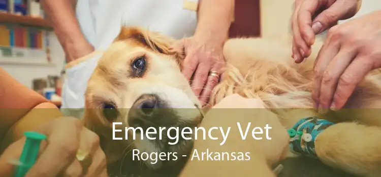 Emergency Vet Rogers - Arkansas